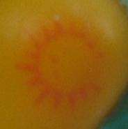 Symbol-yellow-orangesun-petite.jpg