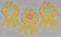 3 Yellow prize ribbons.JPG