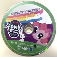 SpringIntoFriendshipDVDDisc.JPEG