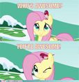 Awesome-fluttershy.jpg