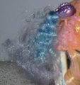 Sea Magic Salon Fish Pixietail.jpg