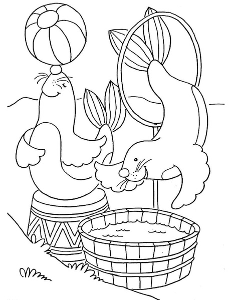 File:My Little Pony Coloring Fun.pdf