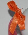 Bright-orange-tail-ribbon.jpg