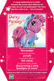 DaisyPaisleyBackcard.jpg