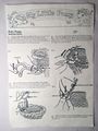 Baby Buggy instructions from the set sold in Finland page 1.jpg