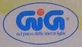 GiG-logo.jpg