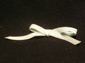 Light green ribbon.JPG
